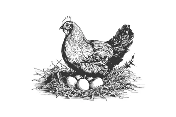 Hen Γεννούν Αυγά Στο Χέρι Σκίτσο Φωλιά Που Σχεδιασμός Εικονογράφησης — Διανυσματικό Αρχείο