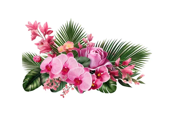 Rosafarbene Rosen Und Orchideenblüten Mit Tropischem Grünen Blatt Vektor Illustrationsdesign — Stockvektor