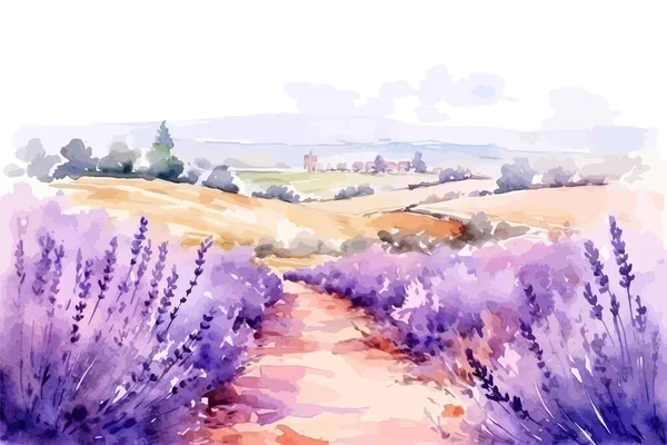 Summer Landscape Blooming Lavender Flowers Fields Vector Illustration Design — Stock Vector