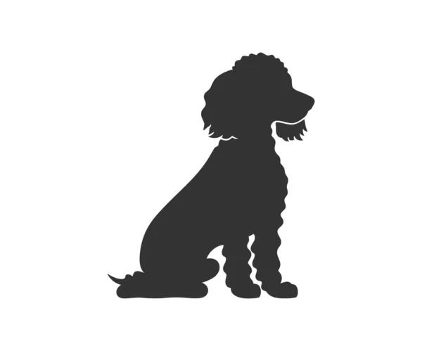 Sílhueta Poodle Miniatura Desenho Ilustração Vetorial — Vetor de Stock
