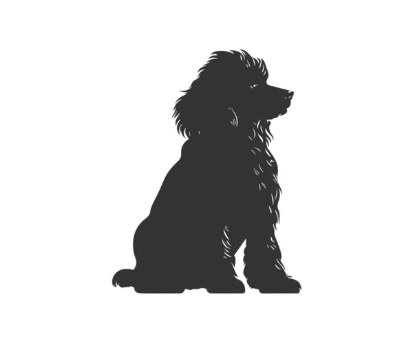 Sílhueta Poodle Miniatura Desenho Ilustração Vetorial —  Vetores de Stock
