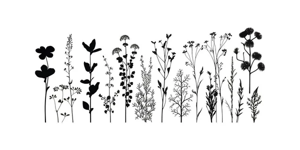 Printemps Été Ensemble Floral Silhouette Illustration Vectorielle — Image vectorielle