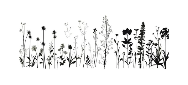 Printemps Été Ensemble Floral Silhouette Illustration Vectorielle — Image vectorielle