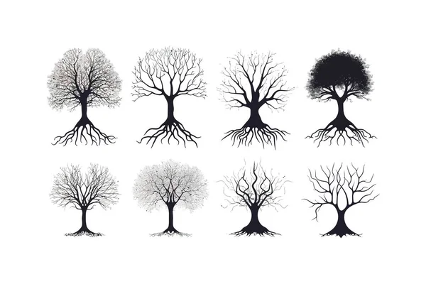 Conjunto Raízes Árvores Silhueta Desenho Ilustração Vetorial — Vetor de Stock