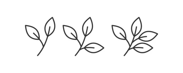 Гілки Чайної Ікони Векторний Дизайн Ілюстрації — стоковий вектор
