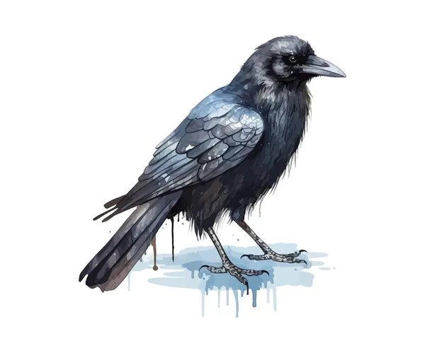 Aquarelle Corbeau Illustration Vectorielle — Image vectorielle
