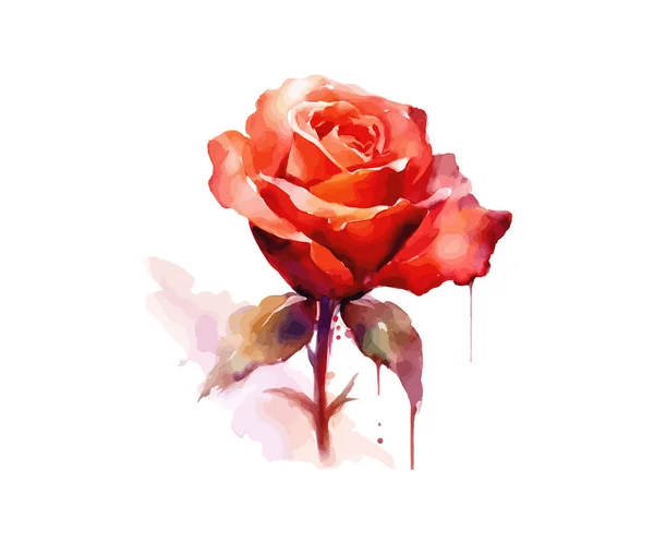 红玫瑰与爱的形状画数字水彩画 矢量图解设计 — 图库矢量图片