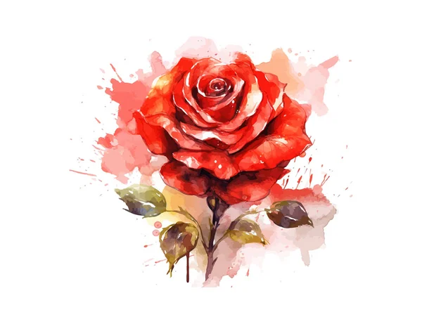 Red Rose Love Shape Drawn Digital Painting Watercolor Vector Illustration — Stock Vector