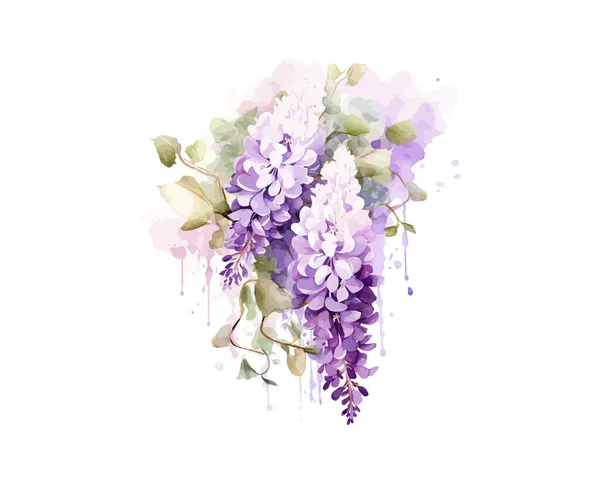 Wisteria Watercolor Flowers Vector Illustration Design — Stock Vector