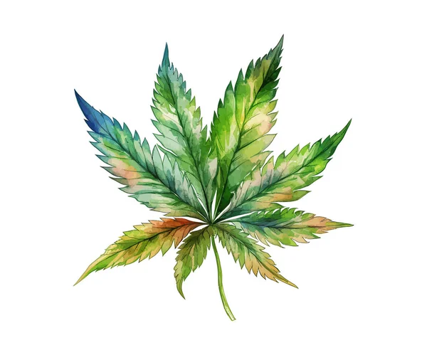 Acuarela Hoja Cannabis Diseño Ilustración Vectorial — Archivo Imágenes Vectoriales