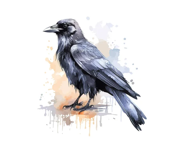 Aquarelle Corbeau Illustration Vectorielle — Image vectorielle