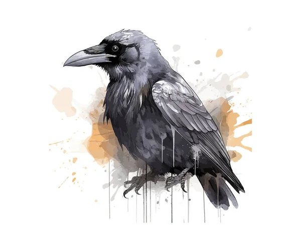 Crow Aguarela Desenho Ilustração Vetorial —  Vetores de Stock
