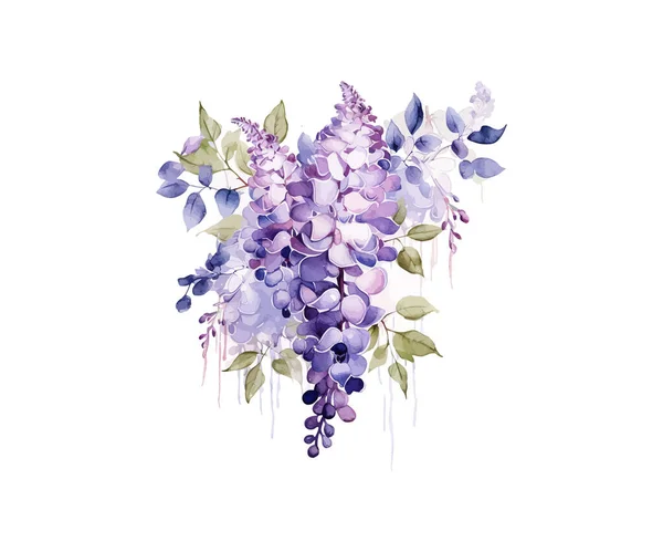 Wisteria Watercolor Flowers Vector Illustration Design — Stock Vector