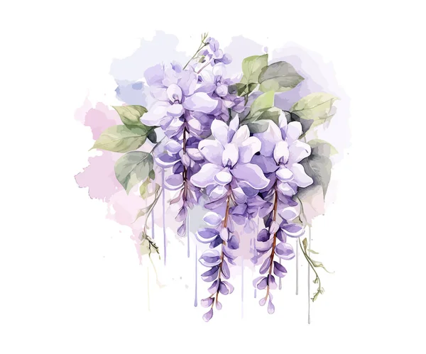 Wisteria Suluboya Çiçekleri Vektör Illüstrasyon Tasarımı — Stok Vektör