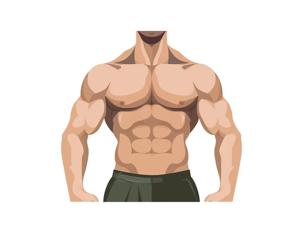 Muscular Hombre Torso Fitness Diseño Ilustración Vectorial — Vector de stock