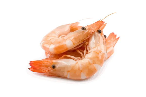 Shrimp Vector Illustration Design — Stock Vector
