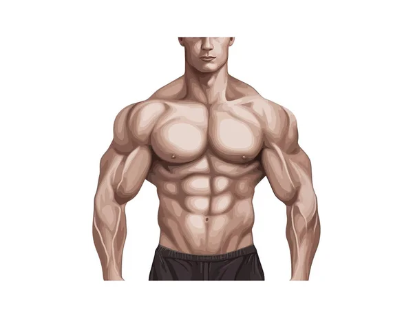 肌肉发达的男人体格健康 矢量图解设计 — 图库矢量图片
