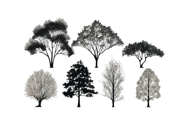 Zestaw Rysowania Linii Drzew Sylwetki Ilustracja Wektora — Wektor stockowy