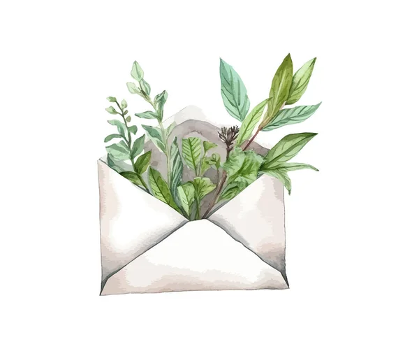 허브와 잎으로 빈티지 봉투입니다 일러스트 디자인 — 스톡 벡터