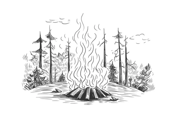 森林里篝火熊熊燃烧 素描手绘 矢量图解设计 — 图库矢量图片