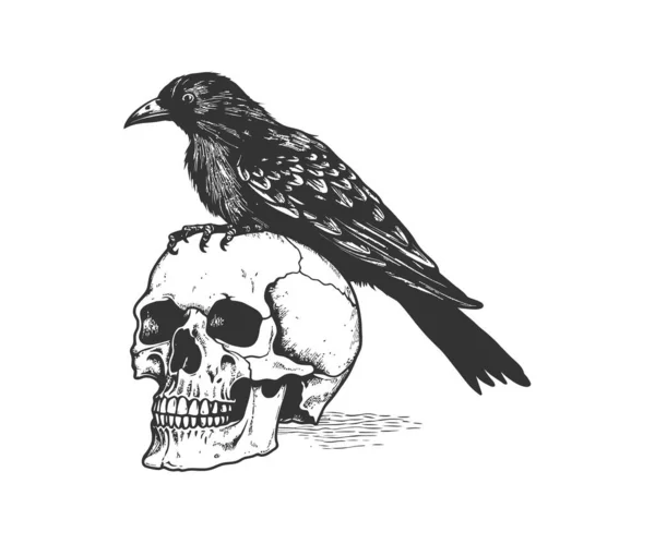 Cuervo Sentado Dibujo Dibujado Mano Del Cráneo Humano Diseño Ilustración — Vector de stock