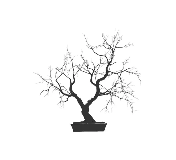 Silhueta Bonsai Árvore Ramos Estrutura Moldar Desenho Ilustração Vetorial — Vetor de Stock