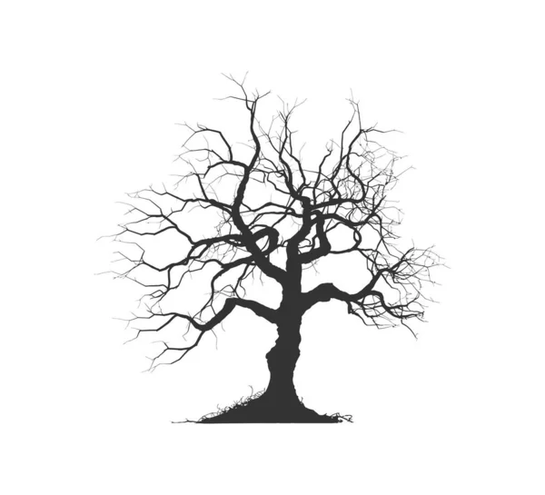 Silueta Bonsai Strom Větve Struktura Tvarování Návrh Vektorové Ilustrace — Stockový vektor