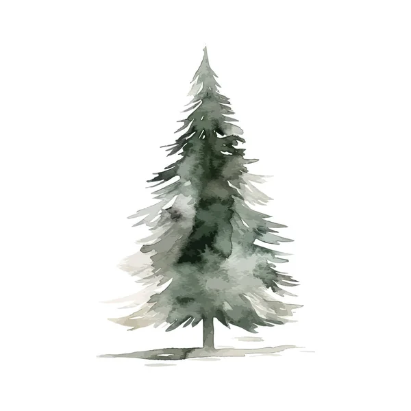 Christmas Tree Trendy Farmhouse Style Watercolor Vector Illustration Design — Stock Vector