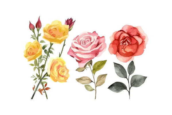 Akvarel Růžové Květy Uspořádání Návrh Vektorové Ilustrace — Stockový vektor