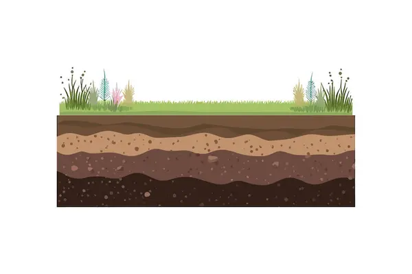 Soil Underground Layers Grassy Ground Ear Vector Illustration Design — Stock Vector