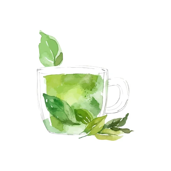 Aquarell Handgezeichneter Gemalter Tee Vektor Illustrationsdesign — Stockvektor