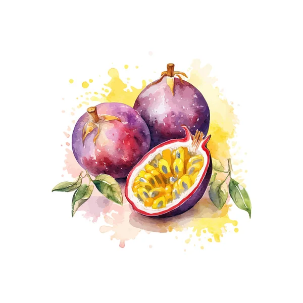 Ręcznie Rysowany Akwarela Malowanie Owoców Namiętności Projekt Ilustracji Wektorowej — Wektor stockowy