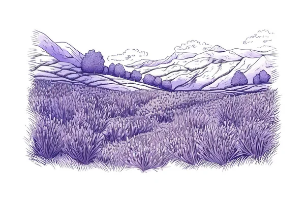 Lavendel Fält Skiss Hand Dras Vektor Illustration Design — Stock vektor