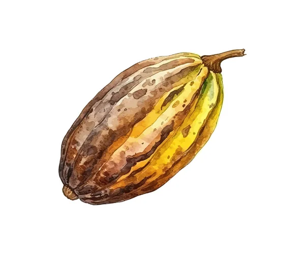 Cacao Acuarela Diseño Ilustración Vectorial — Archivo Imágenes Vectoriales