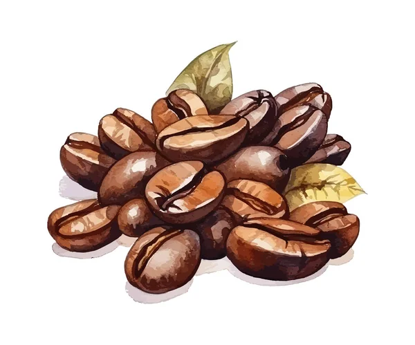 コーヒー豆は水彩をしています ベクトルイラストデザイン — ストックベクタ
