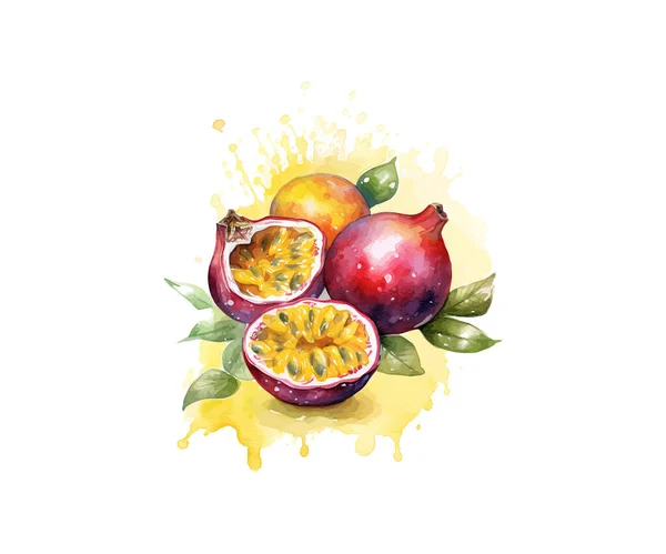 Handritad Akvarell Målning Passion Frukt Vektor Illustration Design — Stock vektor
