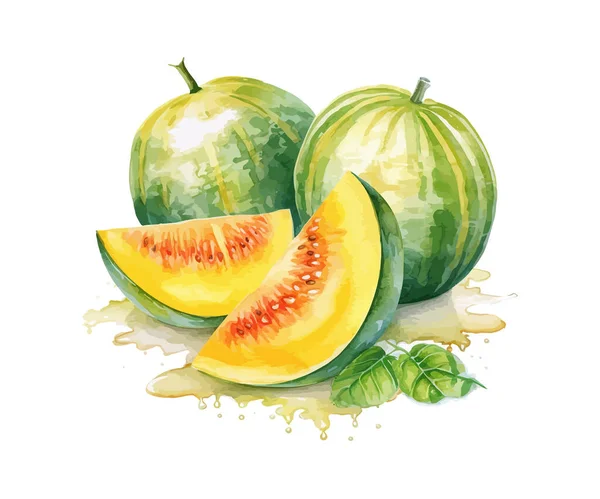 Melon Watercolor Desain Ilustrasi Vektor - Stok Vektor