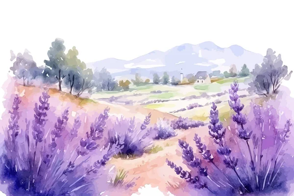 Zomer Landschap Van Bloeiende Lavendel Bloemen Velden Ontwerp Van Vectorillustraties — Stockvector