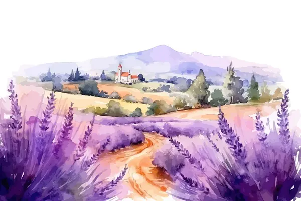 Zomer Landschap Van Bloeiende Lavendel Bloemen Velden Ontwerp Van Vectorillustraties — Stockvector