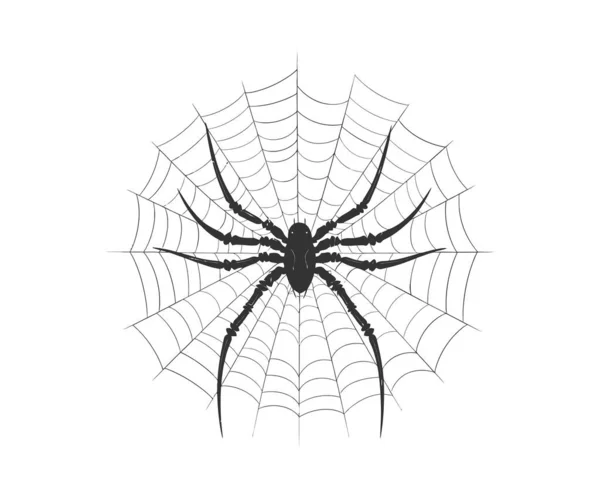 Teia Aranhas Halloween Desenho Ilustração Vetorial —  Vetores de Stock