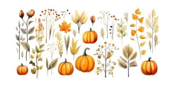 Padrão Com Folhas Abóboras Flores Outono Dos Desenhos Animados Desenho — Vetor de Stock