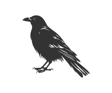 Crow silhouette. Vector illustration design. clipart