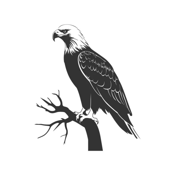 Silueta Águila Calva Aislada Diseño Ilustración Vectorial — Archivo Imágenes Vectoriales