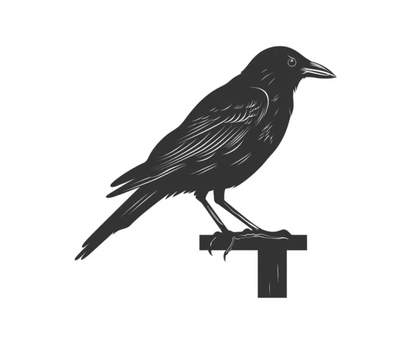 Crow Silhouette Vector Illustration Design — Stock Vector