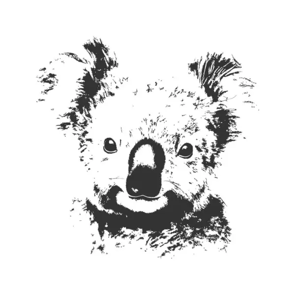 Koala Porträtt Handritad Skiss Vektor Illustration Design — Stock vektor