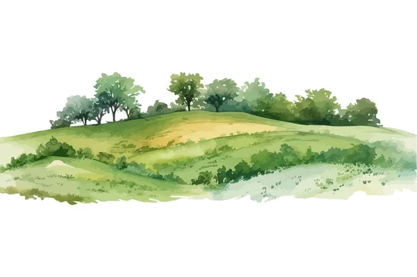 Câmp Acuarelă Dealuri Mici Iarbă Verde Luncă Designul Ilustrației Vectoriale — Vector de stoc
