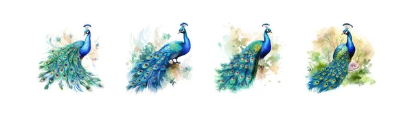 Κομψό Παγώνι Φτερά Απλωμένα Ακουαρέλα Σχεδιασμός Εικονογράφησης Διανύσματος — Διανυσματικό Αρχείο