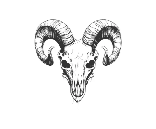 Szkic Ram Skulla Ręcznie Rysowane Boho Hipster Projekt Ilustracji Wektorowej — Wektor stockowy