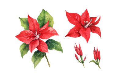 Grafik kaynakları için suluboya noktalı Clipart. Vektör illüstrasyon tasarımı.