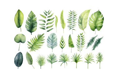 Watercolor tropical green plants set. Vector illustration design. clipart